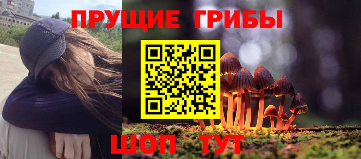 Галлюциногенные грибы прущие грибы  Вход с VPN  наркошоп  Сокол 